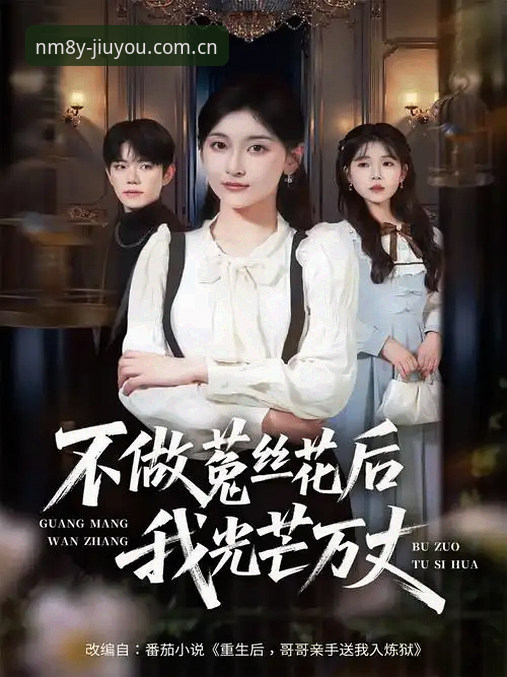 从“能不能用”到“值不值得用”：NM8Y季原创版下载的全面解析